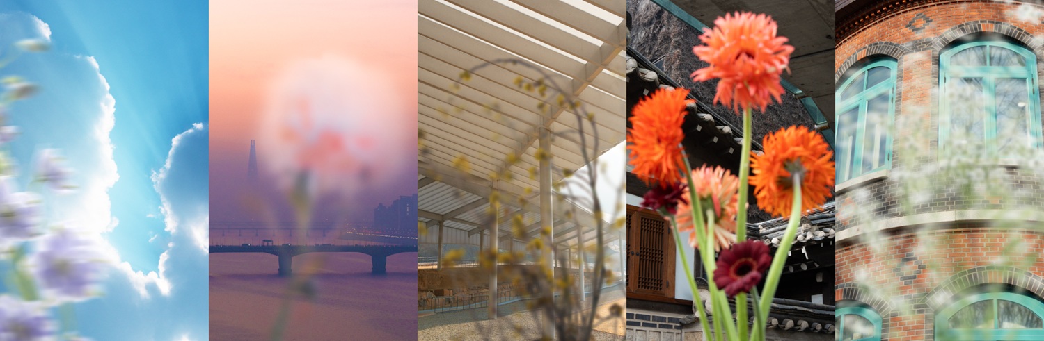 자연주의 뷰티 브랜드 '시로' 롯데백화점 명동점에 3호점 오픈 1026-Image